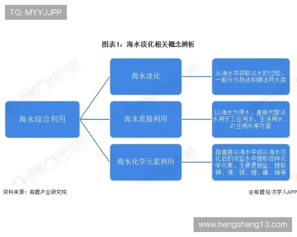 全面解析大发体育平台的优势与最新发展趋势